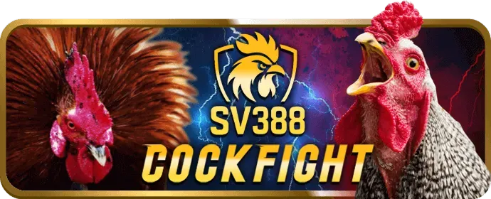 Sân bóng rổ với người hâm mộ và các lựa chọn cá cược tại ae388club nhà cái